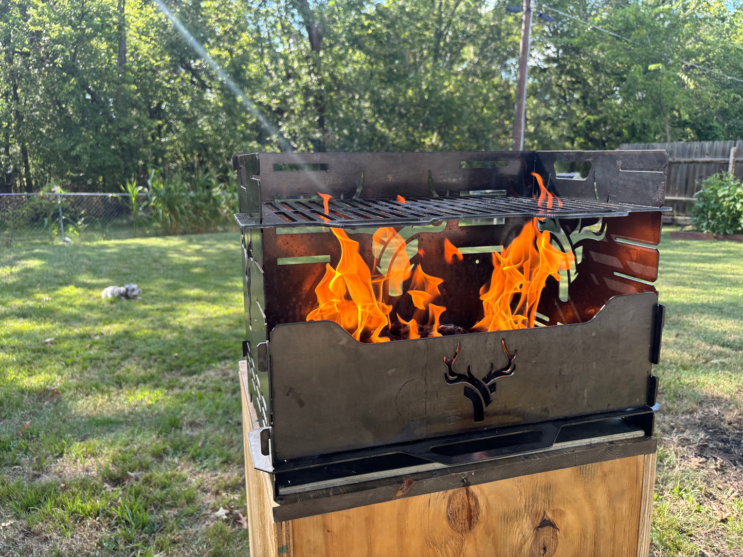 Collapsible grill