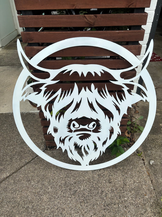 Highland Cow